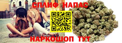 spice Гагарин