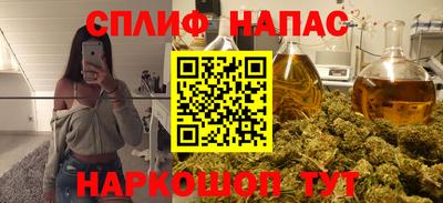 сатива Гатчина