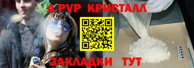 сатива Гатчина