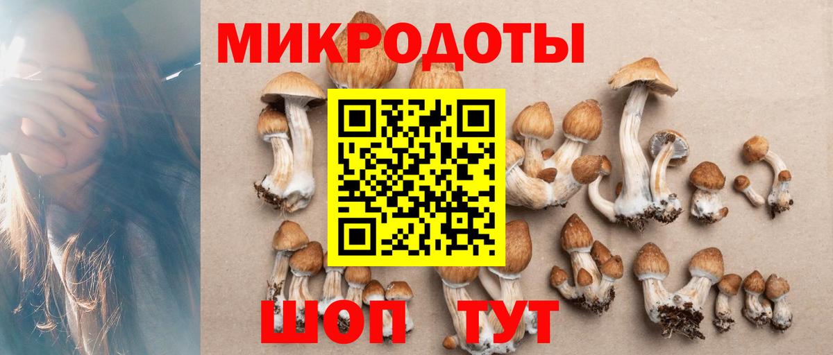 Псилоцибиновые грибы мицелий  Псилоцибиновые грибы Cubensis  Горно-Алтайск  Вход с VPN 