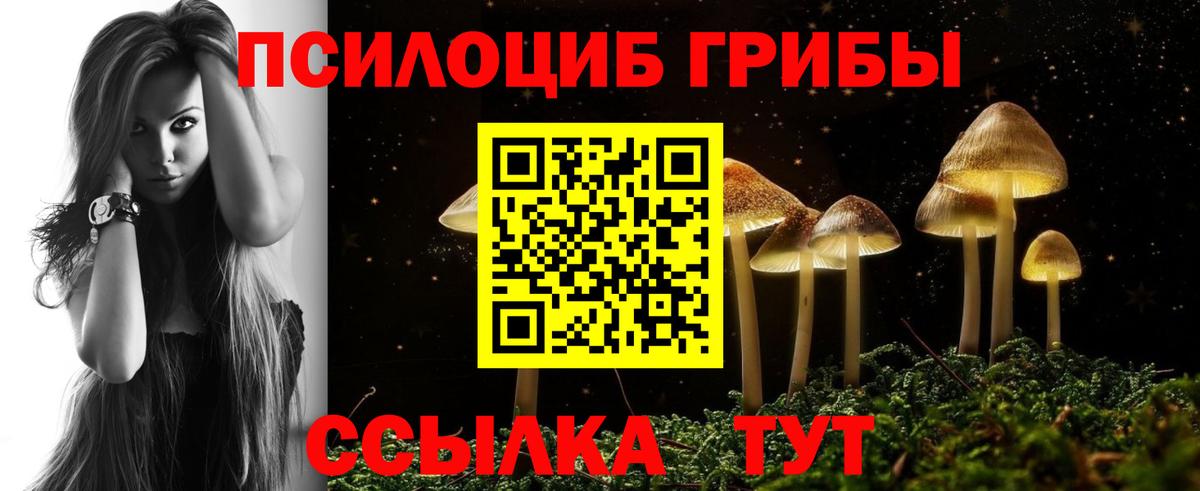Псилоцибиновые грибы мухоморы Горно-Алтайск